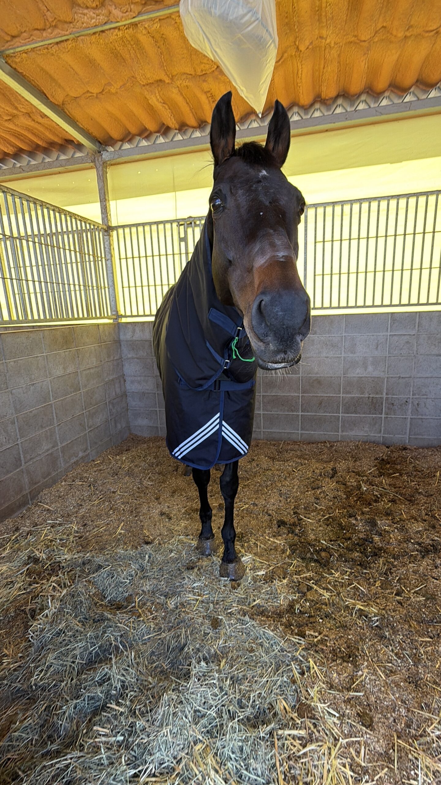 続けていると、見えてくること