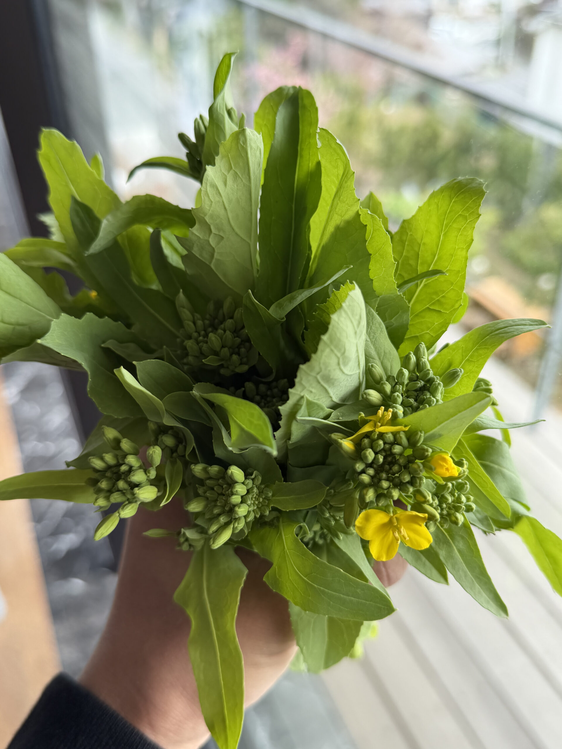 思うようにいかない年も、よく育つ年も