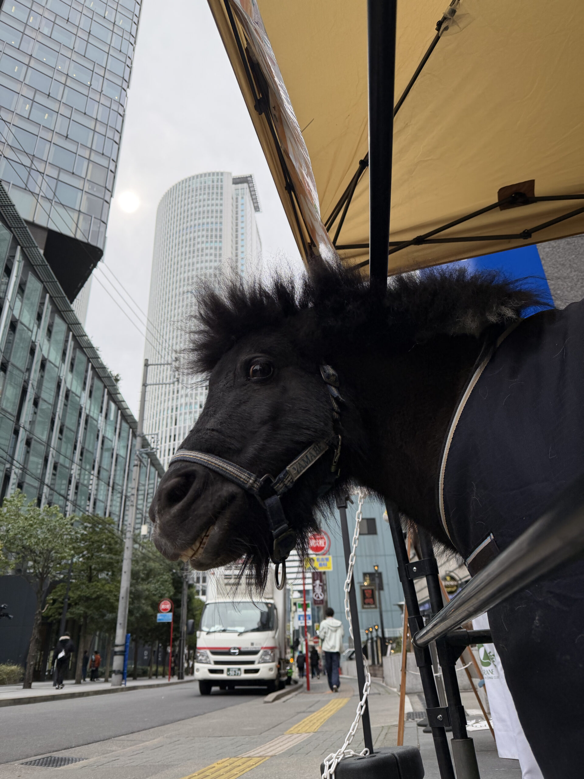 名駅に馬がいる！？